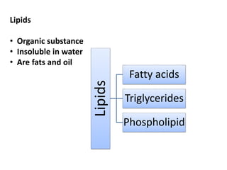 Lipids
• Organic substance
• Insoluble in water
• Are fats and oil
Lipids
Fatty acids
Triglycerides
Phospholipid
 