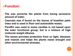 Function:
 The wax prevents the plants from losing excessive
amount of water.
 Caenuba wax if found on the leaves of brazilian palm
trees and is used in floor and automobile waxes.
 Paraffin wax used in some candles is not based upon
the ester functional group, but is a mixture of high
molecule weight alkanes.
 The waxes provides protection from uv light, diseases
and insects and helps the plants resist drought and
other environmental stresses.
 