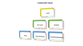 CONCEPT MAP
 