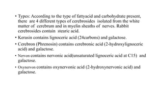 • Types: According to the type of fattyacid and carbohydrate present,
there are 4 different types of cerebrosides isolated from the white
matter of cerebrum and in myelin sheaths of nerves. Rabbit
cerebrosides contain stearic acid.
• Kerasin contains lignoceric acid (24carbons) and galactose.
• Cerebron (Phrenosin) contains cerebronic acid (2-hydroxylignoceric
acid) and galactose.
• Nervon contains nervonic acid(unsaturated lignoceric acid at C15) and
galactose.
• Oxynervon contains oxynervonic acid (2-hydroxynervonic acid) and
galactose.
 