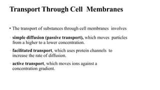 Transport Through Cell Membranes
• The transport of substances through cell membranes involves
•simple diffusion (passive transport), which moves particles
from a higher to a lower concentration.
•facilitated transport, which uses protein channels to
increase the rate of diffusion.
•active transport, which moves ions against a
concentration gradient.
 