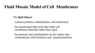 Transport Through Cell Membranes
• The transport of substances through cell membranes involves
•simple diffusion (passive ...