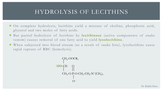 Hydrolysis Rbc Basics of Lipid Biochemistry | PPTX