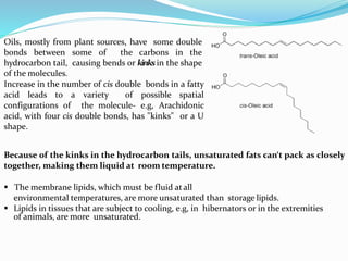 Introduction to Lipids and its Chemistry | PPTX