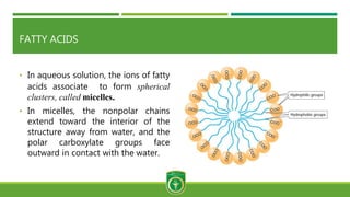 FATTY ACIDS
• In aqueous solution, the ions of fatty
acids associate to form spherical
clusters, called micelles.
• In micelles, the nonpolar chains
extend toward the interior of the
structure away from water, and the
polar carboxylate groups face
outward in contact with the water.
 