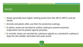 WAXES
 Waxes generally have higher melting points than fats (60 to 100°C) and are
harder.
 Animals and plants often use them for protective coatings.
 In plants, waxes are secreted as surface coating to prevent excessive
evaporation and to protect against parasites.
 In animals, waxes are secreted by cutaneous glands as a protective coating to
keep the skin pliable, lubricated and water-proof.
 