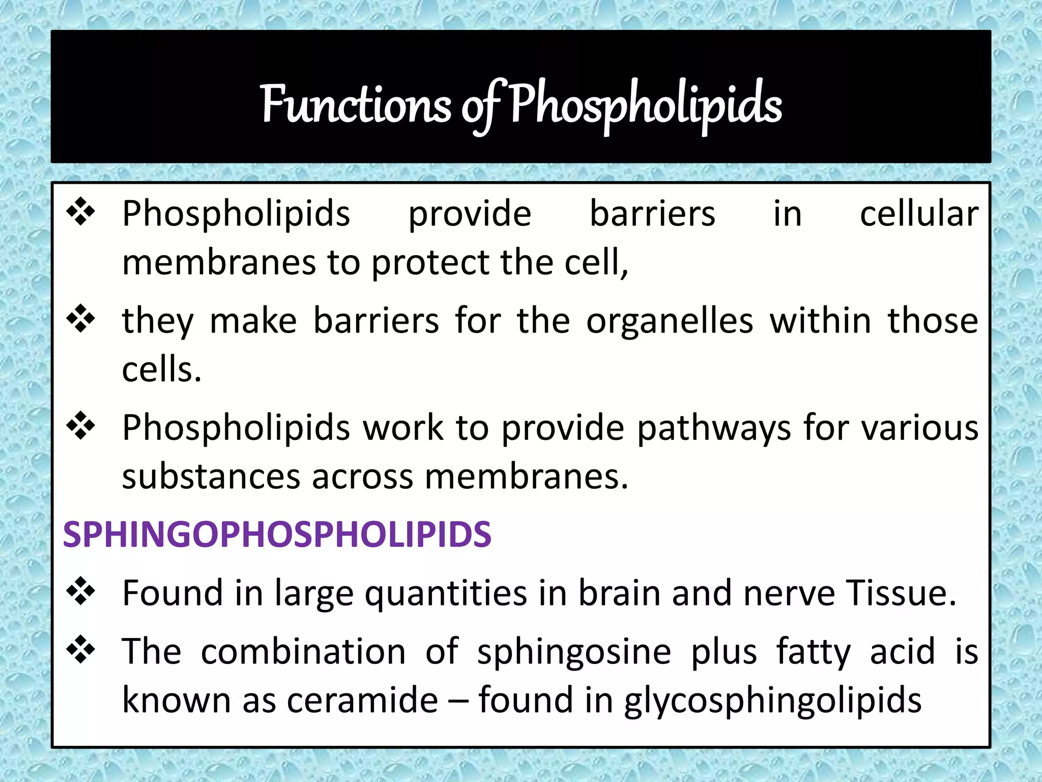 Functions of Phospholipids
 Phospholipids provide barriers in cellular
membranes to protect the cell,
 they make barriers for the organelles within those
cells.
 Phospholipids work to provide pathways for various
substances across membranes.
SPHINGOPHOSPHOLIPIDS
 Found in large quantities in brain and nerve Tissue.
 The combination of sphingosine plus fatty acid is
known as ceramide – found in glycosphingolipids
 