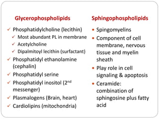 Lipids of physiologic significance | PPTX