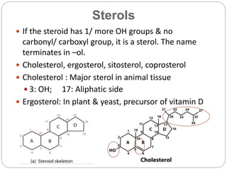 Lipids of physiologic significance | PPTX