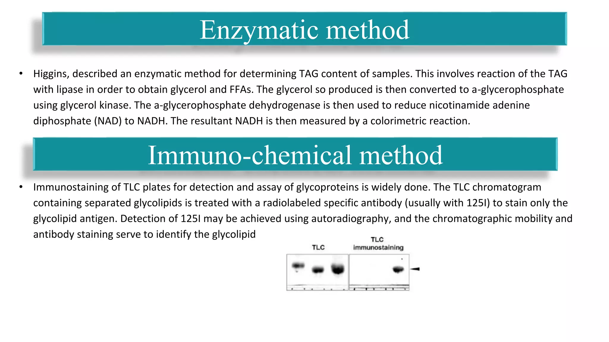 • Higgins, described an enzymatic method for determining TAG content of samples. This involves reaction of the TAG
with lipase in order to obtain glycerol and FFAs. The glycerol so produced is then converted to a-glycerophosphate
using glycerol kinase. The a-glycerophosphate dehydrogenase is then used to reduce nicotinamide adenine
diphosphate (NAD) to NADH. The resultant NADH is then measured by a colorimetric reaction.
• Immunostaining of TLC plates for detection and assay of glycoproteins is widely done. The TLC chromatogram
containing separated glycolipids is treated with a radiolabeled specific antibody (usually with 125I) to stain only the
glycolipid antigen. Detection of 125I may be achieved using autoradiography, and the chromatographic mobility and
antibody staining serve to identify the glycolipid
Enzymatic method
Immuno-chemical method
 