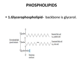 PHOSPHOLIPIDS
• 1.Glycerophospholipid- backbone is glycerol.
 