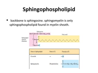 Sphingophospholipid
• backbone is sphingosine. sphingomyelin is only
sphingophospholipid found in myelin sheath.
•
 