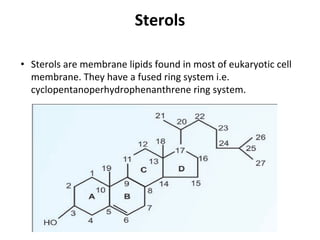Sterols
• Sterols are membrane lipids found in most of eukaryotic cell
membrane. They have a fused ring system i.e.
cyclopentanoperhydrophenanthrene ring system.
 
