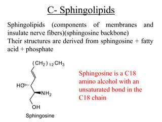 Sphingolipids Components LIPIDS.pptx