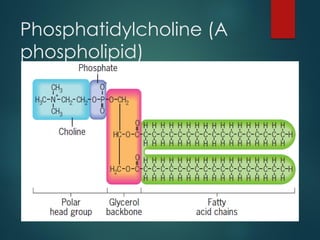 Phosphatidylcholine (A
phospholipid)
 