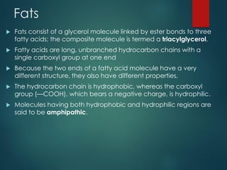 Fats
 Fats consist of a glycerol molecule linked by ester bonds to three
fatty acids; the composite molecule is termed a triacylglycerol.
 Fatty acids are long, unbranched hydrocarbon chains with a
single carboxyl group at one end
 Because the two ends of a fatty acid molecule have a very
different structure, they also have different properties.
 The hydrocarbon chain is hydrophobic, whereas the carboxyl
group (—COOH), which bears a negative charge, is hydrophilic.
 Molecules having both hydrophobic and hydrophilic regions are
said to be amphipathic.
 