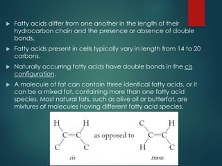  Fatty acids differ from one another in the length of their
hydrocarbon chain and the presence or absence of double
bonds.
 Fatty acids present in cells typically vary in length from 14 to 20
carbons.
 Naturally occurring fatty acids have double bonds in the cis
configuration.
 A molecule of fat can contain three identical fatty acids, or it
can be a mixed fat, containing more than one fatty acid
species. Most natural fats, such as olive oil or butterfat, are
mixtures of molecules having different fatty acid species.
 
