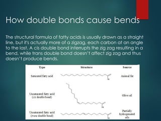 How double bonds cause bends
The structural formula of fatty acids is usually drawn as a straight
line, but it's actually more of a zigzag, each carbon at an angle
to the last. A cis double bond interrupts the zig zag resulting in a
bend, while trans double bond doesn’t affect zig zag and thus
doesn’t produce bends.
 