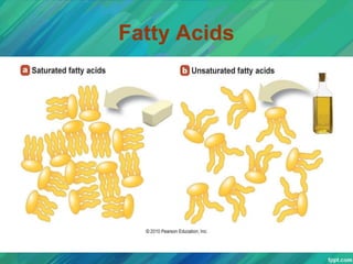 Fatty Acids
 