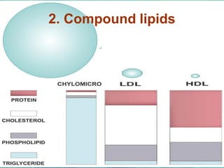 2. Compound lipids
 