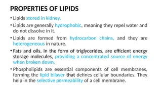 PROPERTIES OF LIPIDS
• Lipids stored in kidney.
• Lipids are generally hydrophobic, meaning they repel water and
do not dissolve in it.
• Lipids are formed from hydrocarbon chains, and they are
heterogeneous in nature.
• Fats and oils, in the form of triglycerides, are efficient energy
storage molecules, providing a concentrated source of energy
when broken down.
• Phospholipids are essential components of cell membranes,
forming the lipid bilayer that defines cellular boundaries. They
help in the selective permeability of a cell membrane.
 