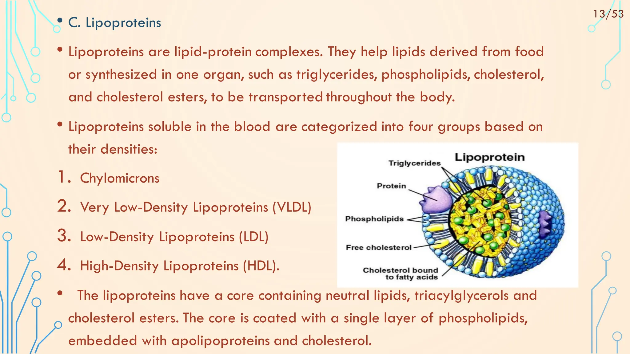 • C. Lipoproteins
• Lipoproteins are lipid-protein complexes. They help lipids derived from food
or synthesized in one organ, such as triglycerides, phospholipids, cholesterol,
and cholesterol esters, to be transported throughout the body.
• Lipoproteins soluble in the blood are categorized into four groups based on
their densities:
1. Chylomicrons
2. Very Low-Density Lipoproteins (VLDL)
3. Low-Density Lipoproteins (LDL)
4. High-Density Lipoproteins (HDL).
• The lipoproteins have a core containing neutral lipids, triacylglycerols and
cholesterol esters. The core is coated with a single layer of phospholipids,
embedded with apolipoproteins and cholesterol.
13/53
 