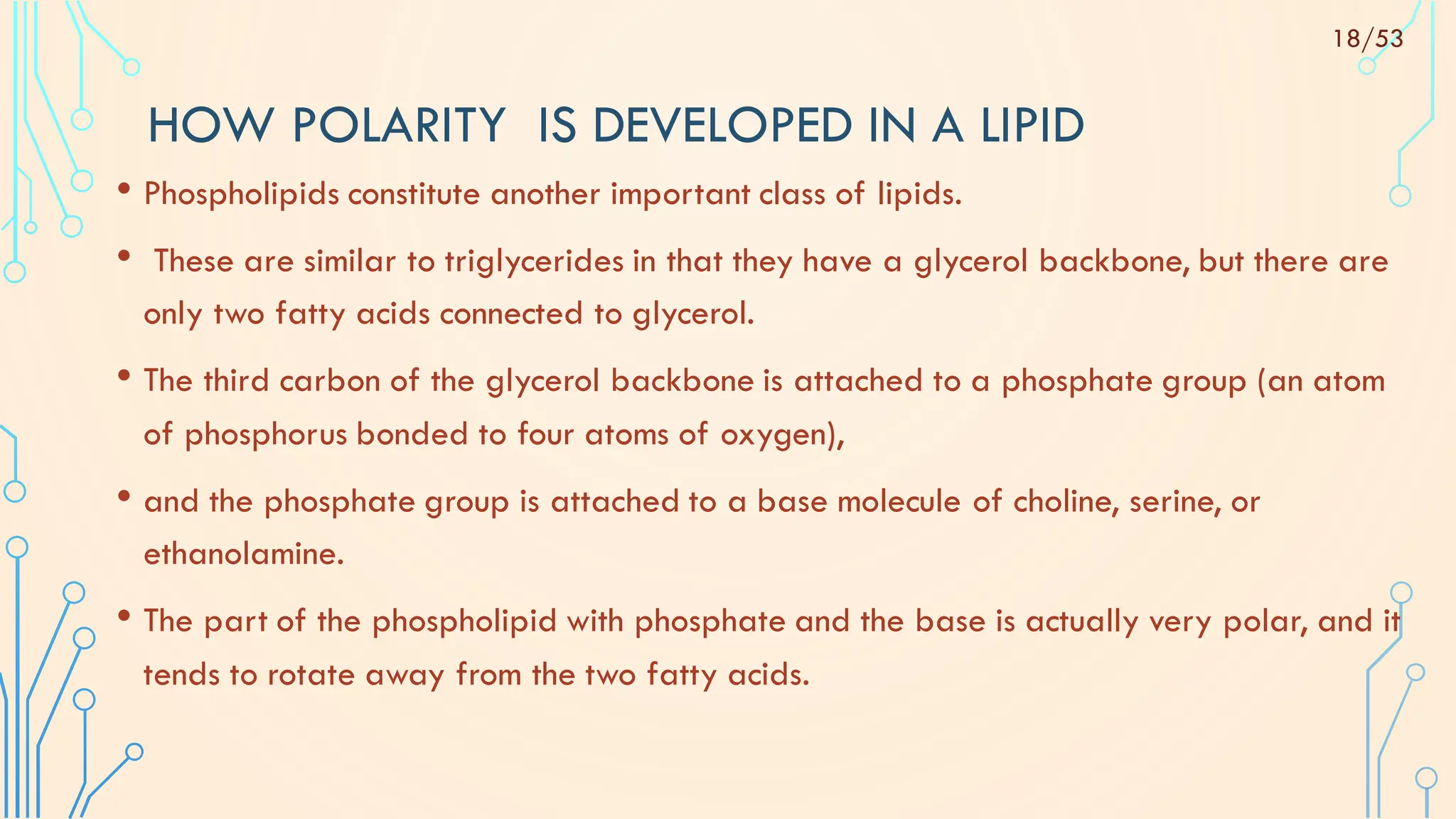 HOW POLARITY IS DEVELOPED IN A LIPID
• Phospholipids constitute another important class of lipids.
• These are similar to triglycerides in that they have a glycerol backbone, but there are
only two fatty acids connected to glycerol.
• The third carbon of the glycerol backbone is attached to a phosphate group (an atom
of phosphorus bonded to four atoms of oxygen),
• and the phosphate group is attached to a base molecule of choline, serine, or
ethanolamine.
• The part of the phospholipid with phosphate and the base is actually very polar, and it
tends to rotate away from the two fatty acids.
18/53
 