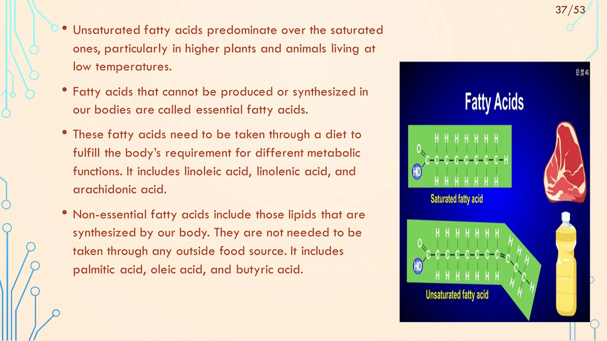 • Unsaturated fatty acids predominate over the saturated
ones, particularly in higher plants and animals living at
low temperatures.
• Fatty acids that cannot be produced or synthesized in
our bodies are called essential fatty acids.
• These fatty acids need to be taken through a diet to
fulfill the body’s requirement for different metabolic
functions. It includes linoleic acid, linolenic acid, and
arachidonic acid.
• Non-essential fatty acids include those lipids that are
synthesized by our body. They are not needed to be
taken through any outside food source. It includes
palmitic acid, oleic acid, and butyric acid.
37/53
 