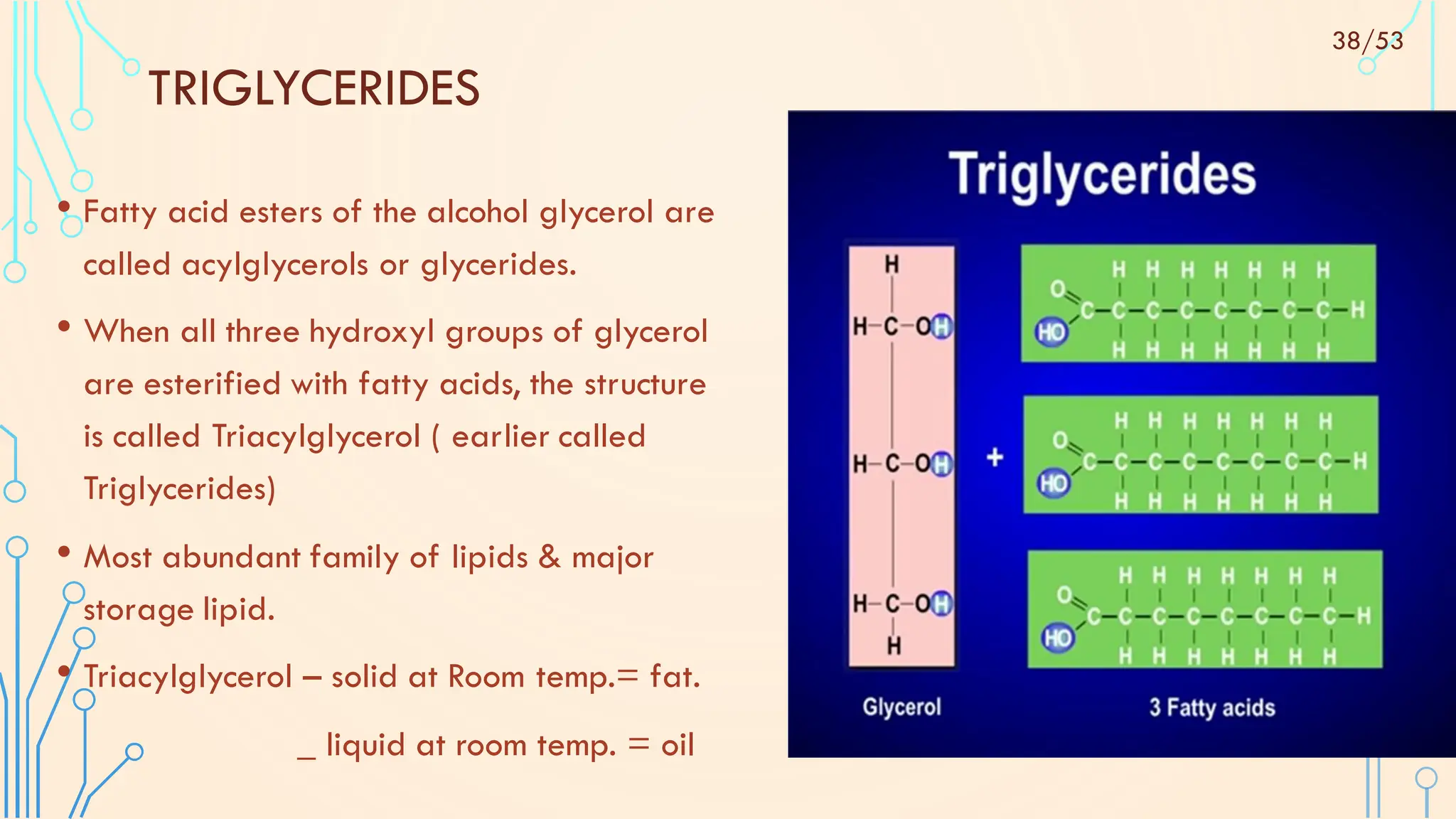 TRIGLYCERIDES
• Fatty acid esters of the alcohol glycerol are
called acylglycerols or glycerides.
• When all three hydroxyl groups of glycerol
are esterified with fatty acids, the structure
is called Triacylglycerol ( earlier called
Triglycerides)
• Most abundant family of lipids & major
storage lipid.
• Triacylglycerol – solid at Room temp.= fat.
_ liquid at room temp. = oil
38/53
 