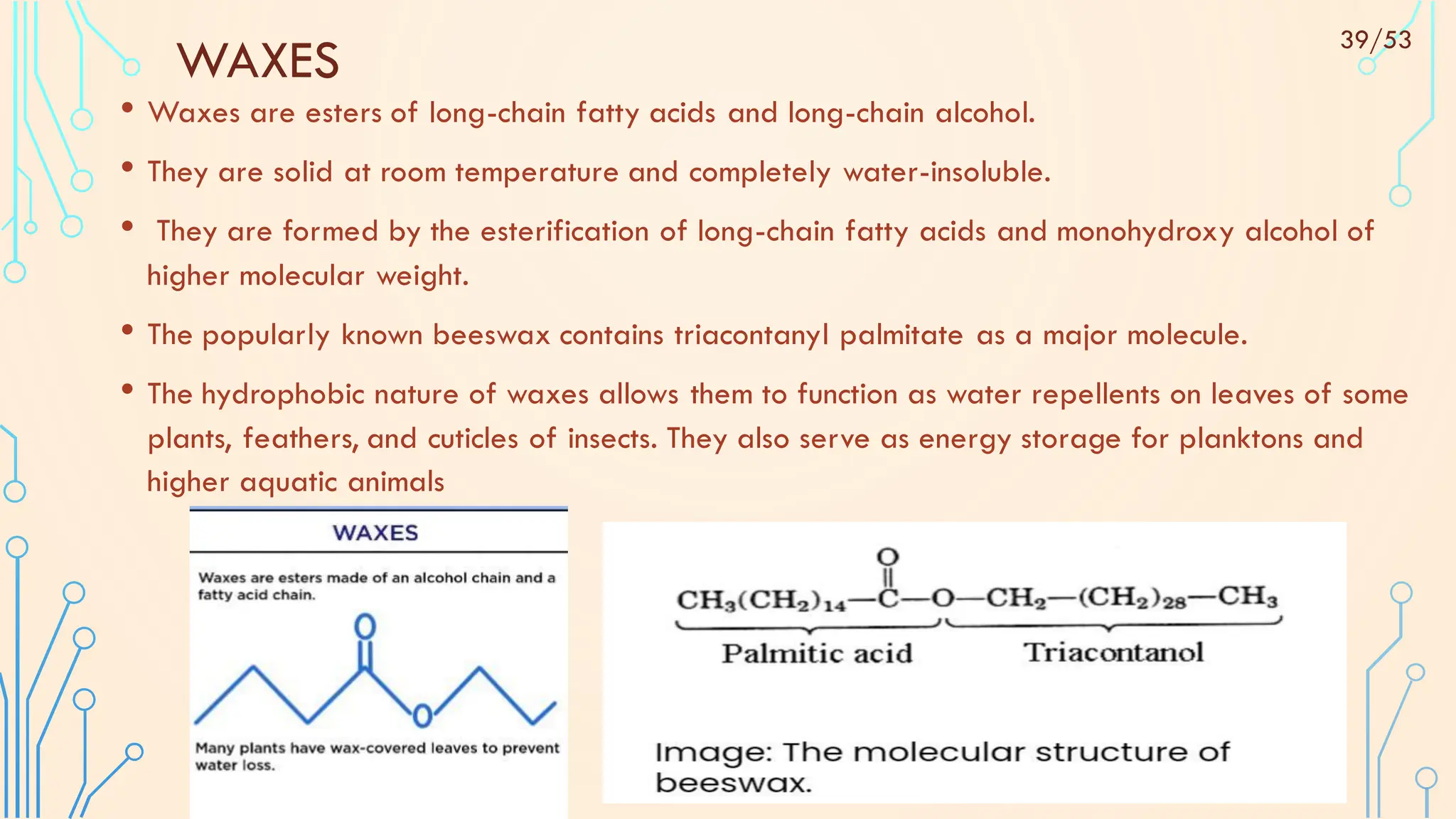 WAXES
• Waxes are esters of long-chain fatty acids and long-chain alcohol.
• They are solid at room temperature and completely water-insoluble.
• They are formed by the esterification of long-chain fatty acids and monohydroxy alcohol of
higher molecular weight.
• The popularly known beeswax contains triacontanyl palmitate as a major molecule.
• The hydrophobic nature of waxes allows them to function as water repellents on leaves of some
plants, feathers, and cuticles of insects. They also serve as energy storage for planktons and
higher aquatic animals
39/53
 
