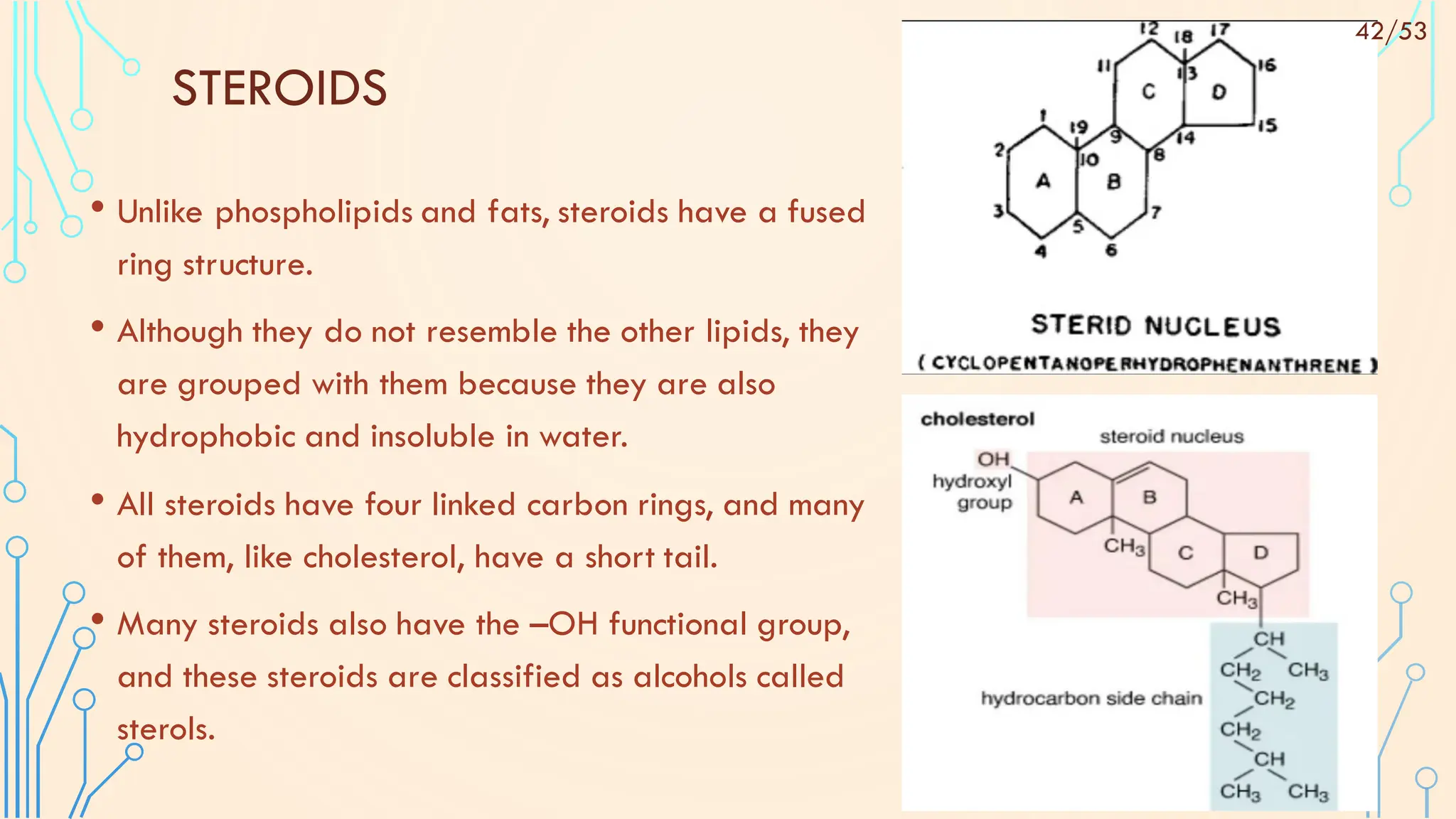 STEROIDS
• Unlike phospholipids and fats, steroids have a fused
ring structure.
• Although they do not resemble the other lipids, they
are grouped with them because they are also
hydrophobic and insoluble in water.
• All steroids have four linked carbon rings, and many
of them, like cholesterol, have a short tail.
• Many steroids also have the –OH functional group,
and these steroids are classified as alcohols called
sterols.
42/53
 