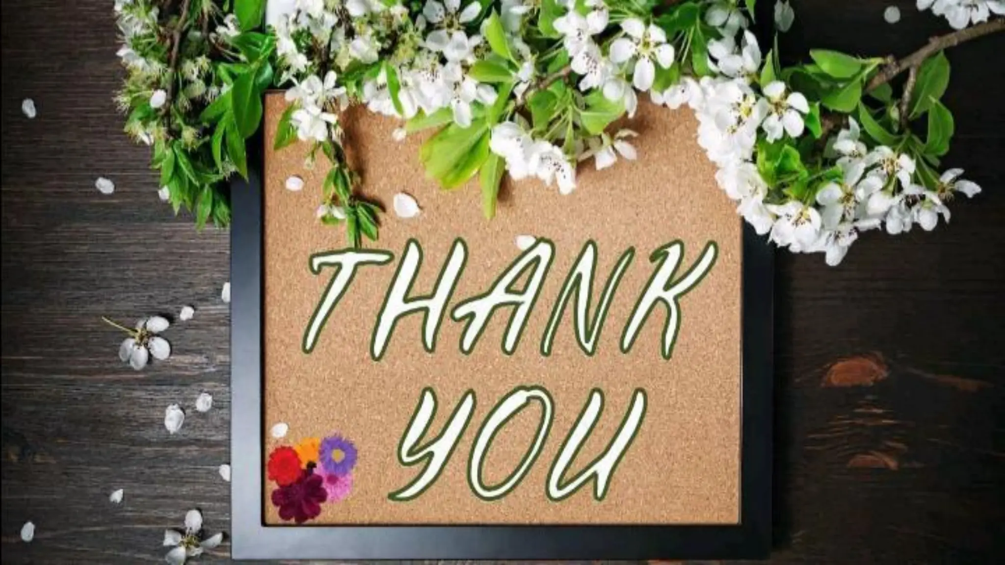 Lipids: types, structure and important functions.