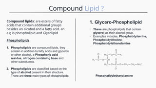 Lipids biochemistry basic terminologies stuff | PPTX