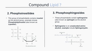 Lipids biochemistry basic terminologies stuff | PPTX
