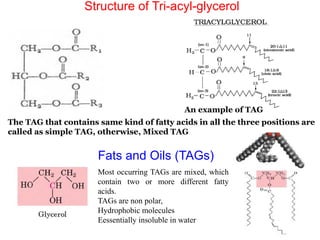 Lipids and building blocks of life in the food system | PPTX
