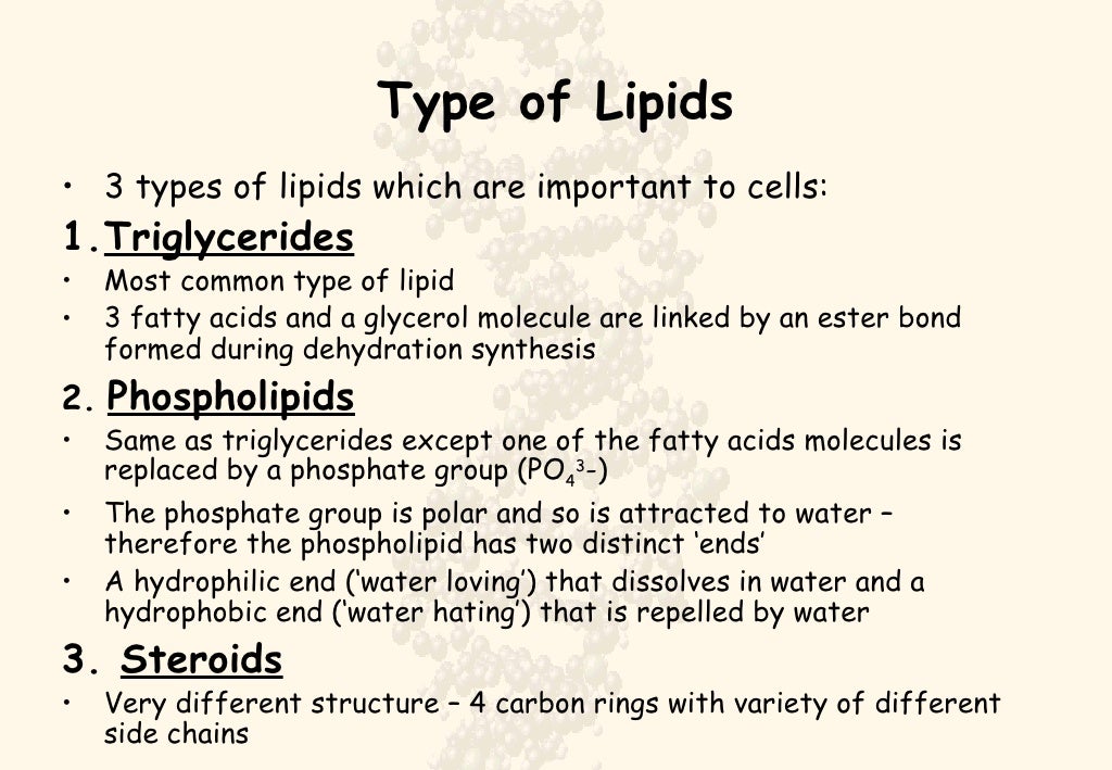 free download structure of lipids free download structure of lipids
