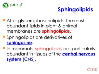 Comprehensive Overview of Lipids: Structure, Functions, and Health ...
