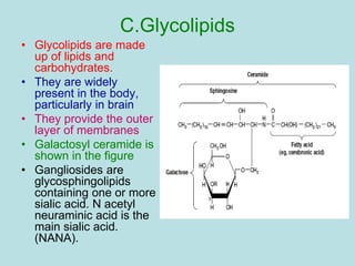 C.Glycolipids 
• Glycolipids are made 
up of lipids and 
carbohydrates. 
• They are widely 
present in the body, 
particularly in brain 
• They provide the outer 
layer of membranes 
• Galactosyl ceramide is 
shown in the figure 
• Gangliosides are 
glycosphingolipids 
containing one or more 
sialic acid. N acetyl 
neuraminic acid is the 
main sialic acid. 
(NANA). 
 