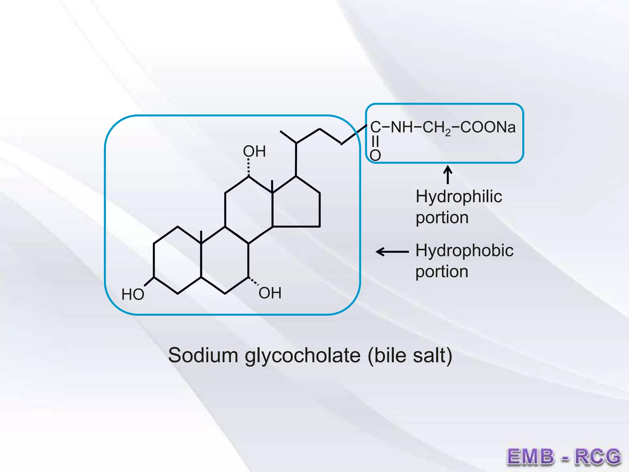 OH
OHHO
Sodium glycocholate (bile salt)
II
O
C−NH−CH2−COONa
Hydrophilic
portion
Hydrophobic
portion
 