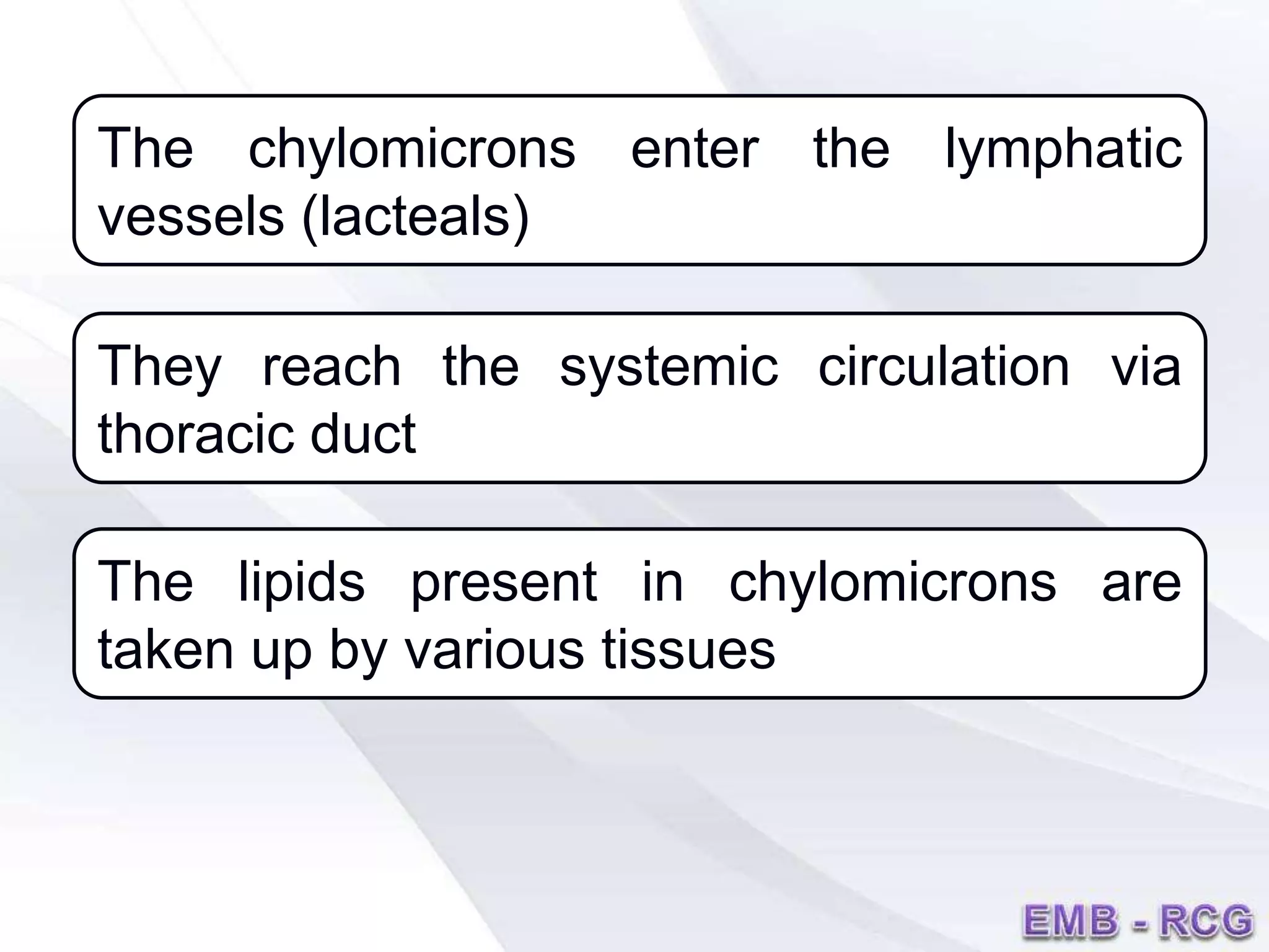 The chylomicrons enter the lymphatic
vessels (lacteals)
They reach the systemic circulation via
thoracic duct
The lipids present in chylomicrons are
taken up by various tissues
 