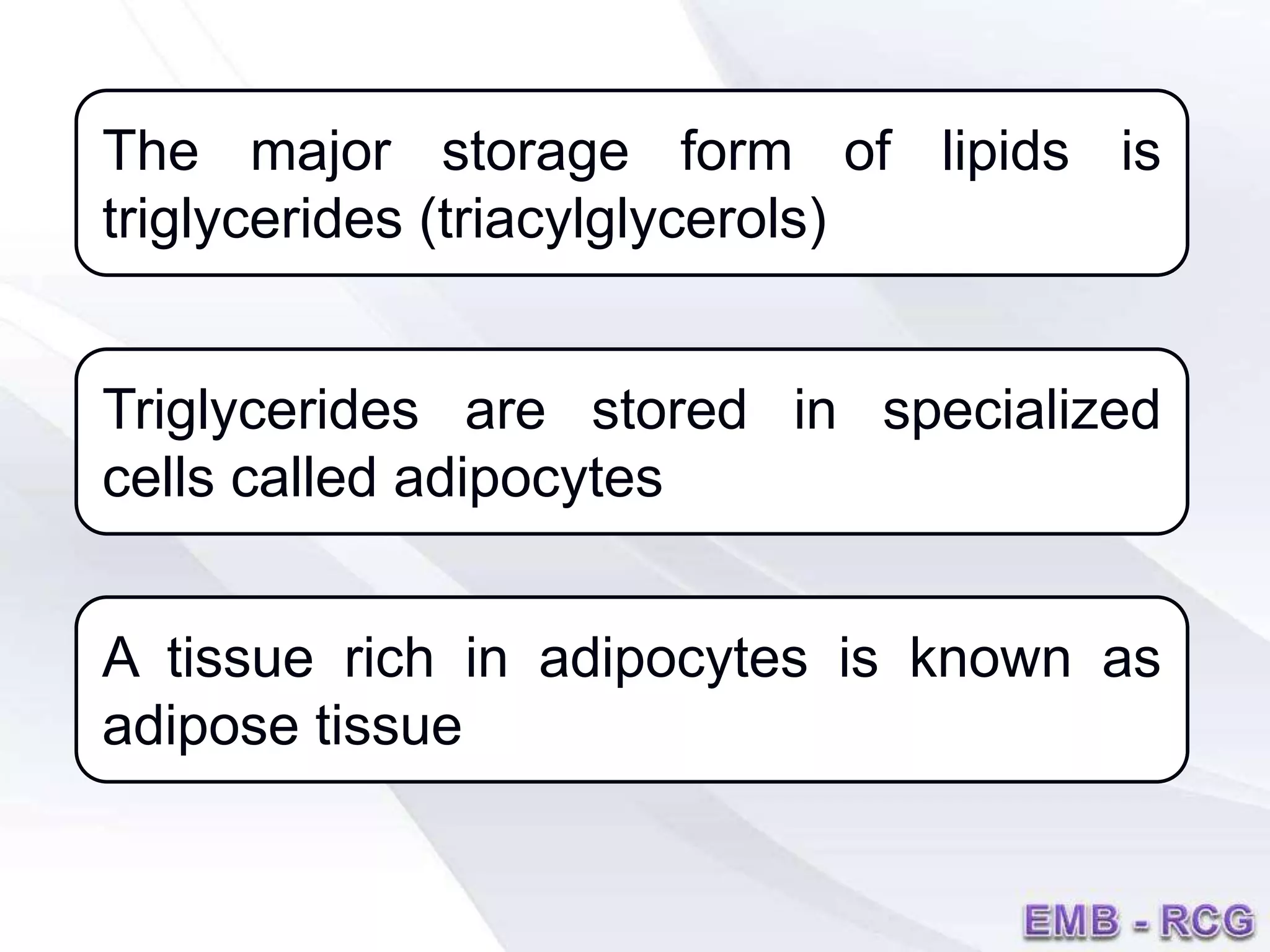 The major storage form of lipids is
triglycerides (triacylglycerols)
Triglycerides are stored in specialized
cells called adipocytes
A tissue rich in adipocytes is known as
adipose tissue
 