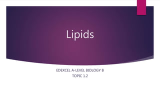 Lipids
EDEXCEL A-LEVEL BIOLOGY B
TOPIC 1.2
 