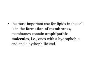 • the most important use for lipids in the cell
is in the formation of membranes,
membranes contain amphipathic
molecules, i.e., ones with a hydrophobic
end and a hydrophilic end.
 