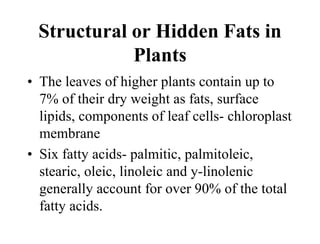 Structural or Hidden Fats in
Plants
• The leaves of higher plants contain up to
7% of their dry weight as fats, surface
lipids, components of leaf cells- chloroplast
membrane
• Six fatty acids- palmitic, palmitoleic,
stearic, oleic, linoleic and y-linolenic
generally account for over 90% of the total
fatty acids.
 