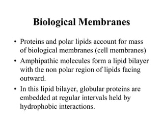 Biological Membranes
• Proteins and polar lipids account for mass
of biological membranes (cell membranes)
• Amphipathic molecules form a lipid bilayer
with the non polar region of lipids facing
outward.
• In this lipid bilayer, globular proteins are
embedded at regular intervals held by
hydrophobic interactions.
 