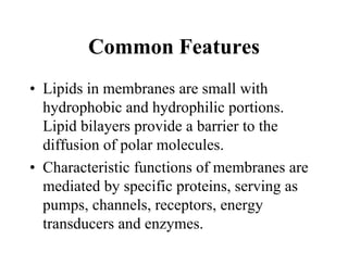 Common Features
• Lipids in membranes are small with
hydrophobic and hydrophilic portions.
Lipid bilayers provide a barrier to the
diffusion of polar molecules.
• Characteristic functions of membranes are
mediated by specific proteins, serving as
pumps, channels, receptors, energy
transducers and enzymes.
 