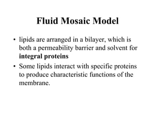 Fluid Mosaic Model
• lipids are arranged in a bilayer, which is
both a permeability barrier and solvent for
integral proteins
• Some lipids interact with specific proteins
to produce characteristic functions of the
membrane.
 