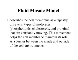Fluid Mosaic Model
• describes the cell membrane as a tapestry
of several types of molecules
(phospholipids, cholesterols, and proteins)
that are constantly moving. This movement
helps the cell membrane maintain its role
as a barrier between the inside and outside
of the cell environments.
 