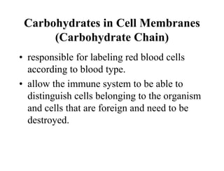 Carbohydrates in Cell Membranes
(Carbohydrate Chain)
• responsible for labeling red blood cells
according to blood type.
• allow the immune system to be able to
distinguish cells belonging to the organism
and cells that are foreign and need to be
destroyed.
 