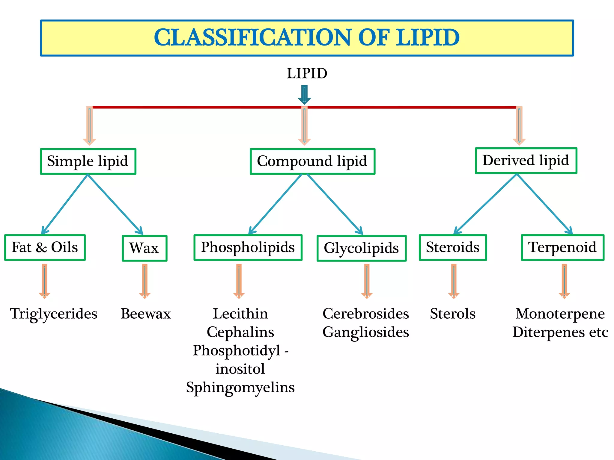 CLASSIFICATION OF LIPID
LIPID
Simple lipid Compound lipid Derived lipid
Fat & Oils Wax Phospholipids Glycolipids Steroids Terpenoid
Triglycerides Beewax Lecithin
Cephalins
Phosphotidyl -
inositol
Sphingomyelins
Cerebrosides
Gangliosides
Monoterpene
Diterpenes etc
Sterols
 